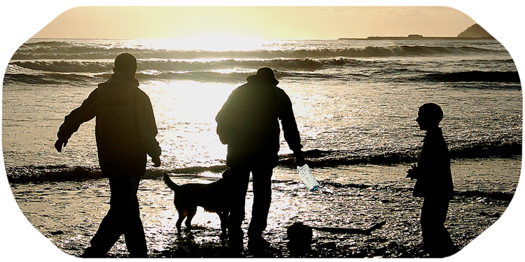 Personan am Strand spielen mit einem Hund
